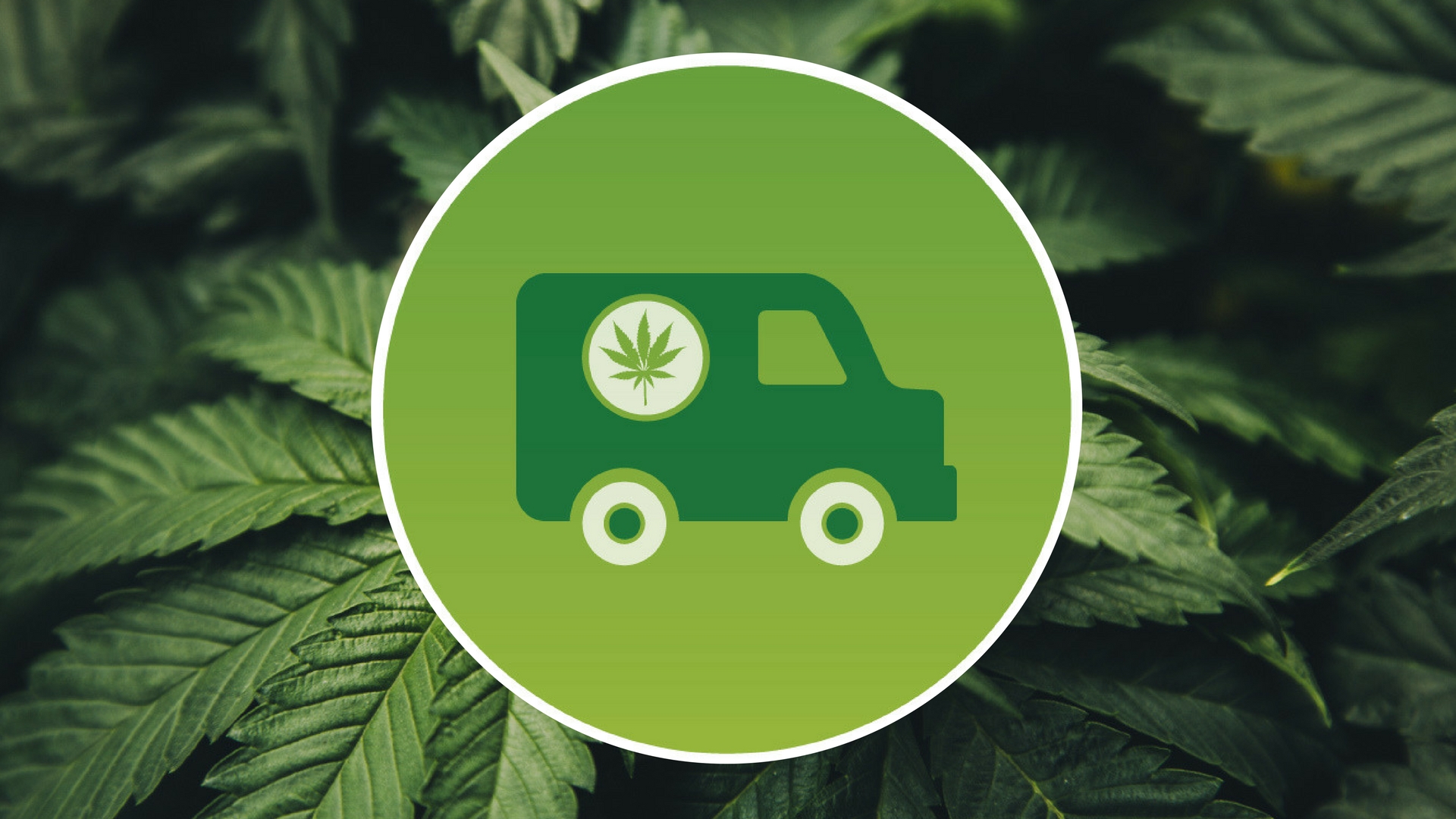 Doobie: Marijuana Delivery Near Me - Find Weed Dispensary ... Fundamentals Explained thumbnail